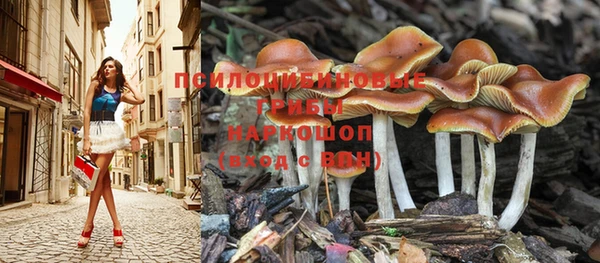 прущая мука Армянск