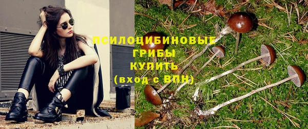 ECSTASY Аркадак